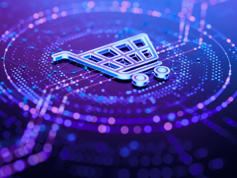 ecommerce-accordian